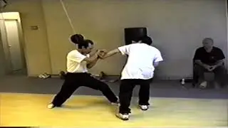 Kung fu | Chin Na | sifu Kiem Hoo Lee