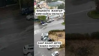 Сиздер тарапта кар жокпу? #дуэт #моялошадь #юмор #лошадки #прикол #тикток #duet #тренд #rek