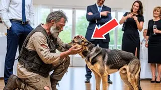 Millionaire Gives &lsquo;Useless&rsquo; Dog to Homeless Man &mdash; Days Later, He Deeply Regrets It!