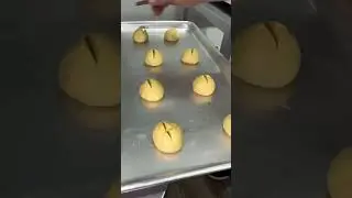 Prueba Equipos Panader&iacute;a