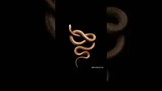 Praislo - I'll do her really rough [Sup Bro]