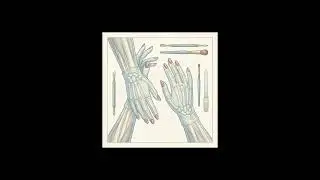 The Nail Exam Lounge 4: How Anatomy and Pathology Expertise Elevates Your Professional Standards