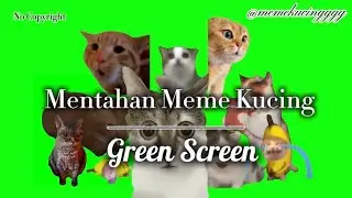 Cat Memes Green Screen | Mentahan Meme Kucing Green Screen 2025