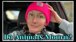 😞 I've Never Seen THIS until Today~Animals in Mourning 😞