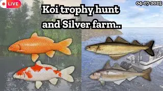 Copper lake active spot | Farming | Chill Stream | Nanstein | Russian fishing 4 #rf4