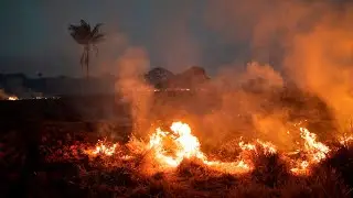 South American leaders meet to discuss Amazon fires