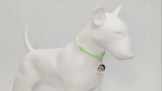 WAUDOG Smart ID tag paracord collar, glow in the dark, reflective