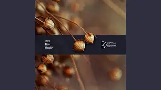 Xulf (Original Mix)