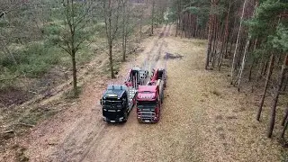 Leśna przygoda#202 Ż jak Żyleta