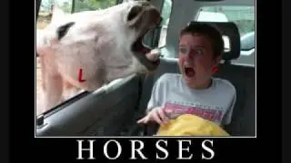 Cute Animals Gone Bad