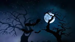happy halloween #facebrand #cтудия дизайна #blackyolka #модель Ангелина #фото blackyolka
