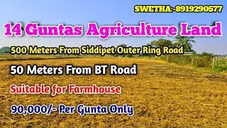 Agriculture Land For Sale || Double BT Road BITS || Excellent  BIT ||  #agriculturelands