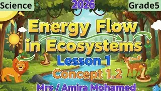Science Grade5 | Energy flow in Ecosystem |Lesson 1|Concept 1.2 |First term شرح ساينس خامسة إبتدائي