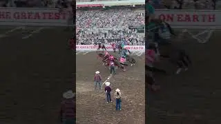Indian Relay Calgary Stampede! #horse #culture #sports #extremesports