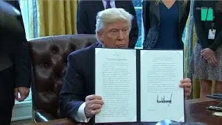How Many Executive Orders Has Trump Signed In His First 100 Days?