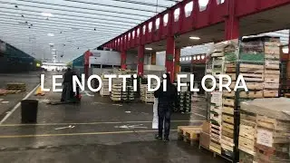 Padova, le notti della signora Flora al bar del mercato ortofrutticolo
