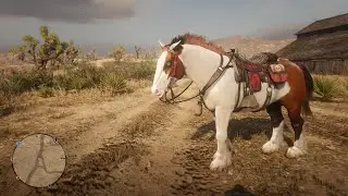 RDR2 Gypsy CoB