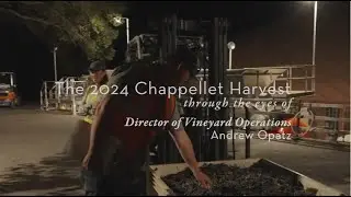 Chappellet 2024 Harvest, Through the Eyes of Andrew Opatz