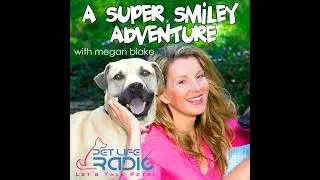 PetLifeRadio.com - A Super Smiley Adventure - Episode 36 The Beagle Freedom Project