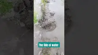 The water label is rising and Flood is coming quickly...!!!