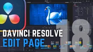 Das Wichtigste f&uuml;r den Einstieg - DaVinci Resolve 18.5 [EP2]