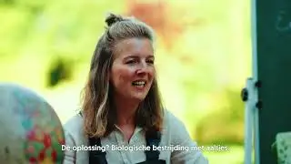 Engerlingen of emelten? Zo zie je het verschil | Aaltjesonline.nl