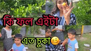 আমাদের বইনের ঘোরে এত চুকা কমলা || কি এইটা আপনারা কি জানেন || #trending #viral #food #fruit #funny 