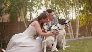 Katie + Matt // The Columbus Museum of Art // Columbus Ohio Wedding Videography