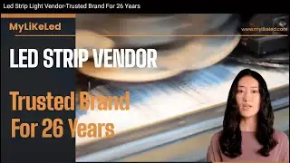 Trusted Brand For 26 Years-Led Strip Light Vendor