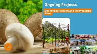 Our Turnkey Food Projects: From Concept to Completion - Witness Our Success Stories I ProwessBuzz