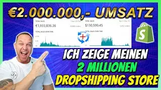 2 MILLIONEN UMSATZ mit diesem Dropshipping Produkt! Ich zeige SHOP + PRODUKT!!!