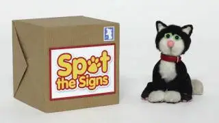 Spot the Signs: How to spot the signs of cat pain, with Jess the Cat