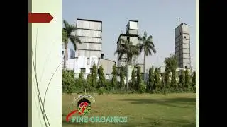 Introduction Video Of Menthol Crystals | Fine Organics