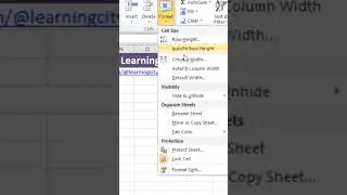 Set Column Width & Row Height in Excel #excel #customsetting