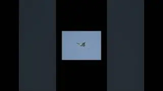 Molva Dvizh - 000000