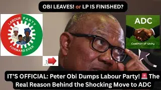 The Political Bombshell/The Obi movement
