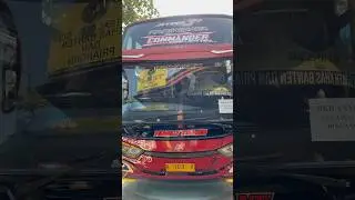 Bus pariwisata family trans #automobile #bussid #familytrans #commander