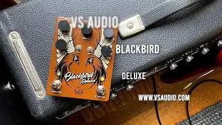 VS Audio: Blackbird Deluxe