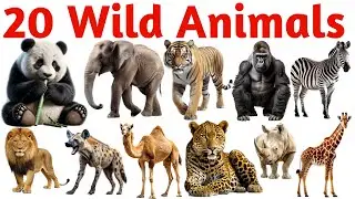 Wild Animals Names for Kids | Learn 20 Jungle Animals in English and Hindi | Preschool Video