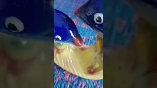 o meri Laila..fish showpiece 🥰👌👍#viral #trending #youtube #shorts #reels