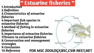 Estuarine fisheries | Characteristics | Important fish species | Methods | Threats | Conservation