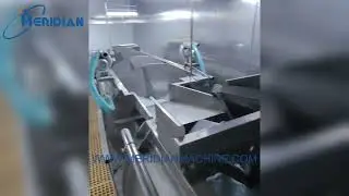 Poultry Chilling & Freezing System | HACCP Certified Chicken Processing Equipment