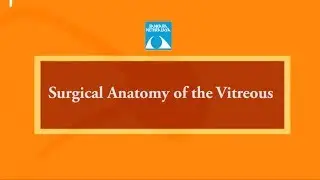 Surgical Anatomy of the Vitreous by Dr. Ashutosh Agarwal, 29 Nov, 2019
