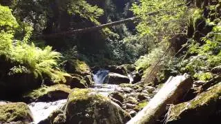 p&ecirc;che de la truite en torrent acte 2