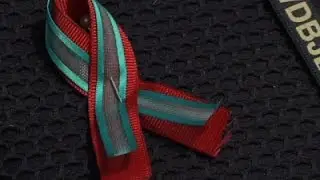 WDBJ Family Wears Ribbons for Slain Colleagues