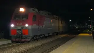 Пальмира покатила домой. 2ЭС4К-126 с поездом №36 Адлер&ndash;Санкт-Петербург | Волконская