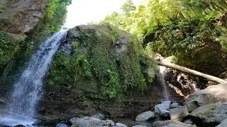 Terra Nostra - Furnas - Grena Parque (Azores)
