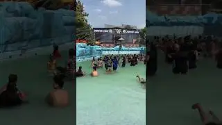 Jurasik Park Inn Sonipat Vlog #sonipat #waterpark #waterparkvlog #waterparkadventure