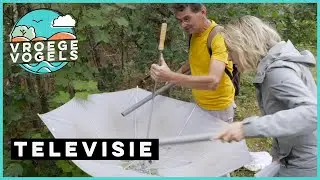 Met een witte paraplu het bos in | TV | Vroege Vogels