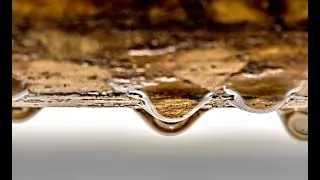 Why crawl space humidity is BAD.